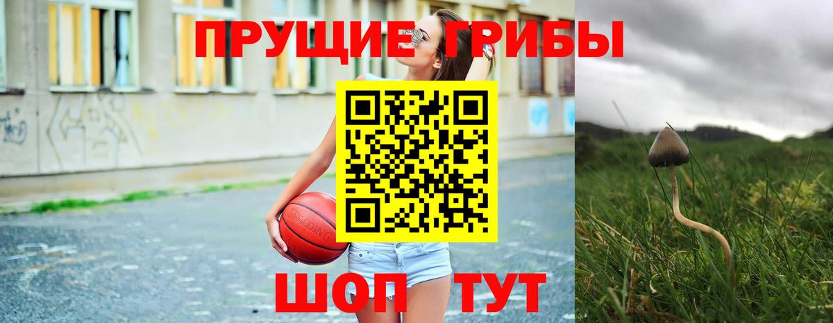 Псилоцибиновые грибы мицелий Усть-Илимск